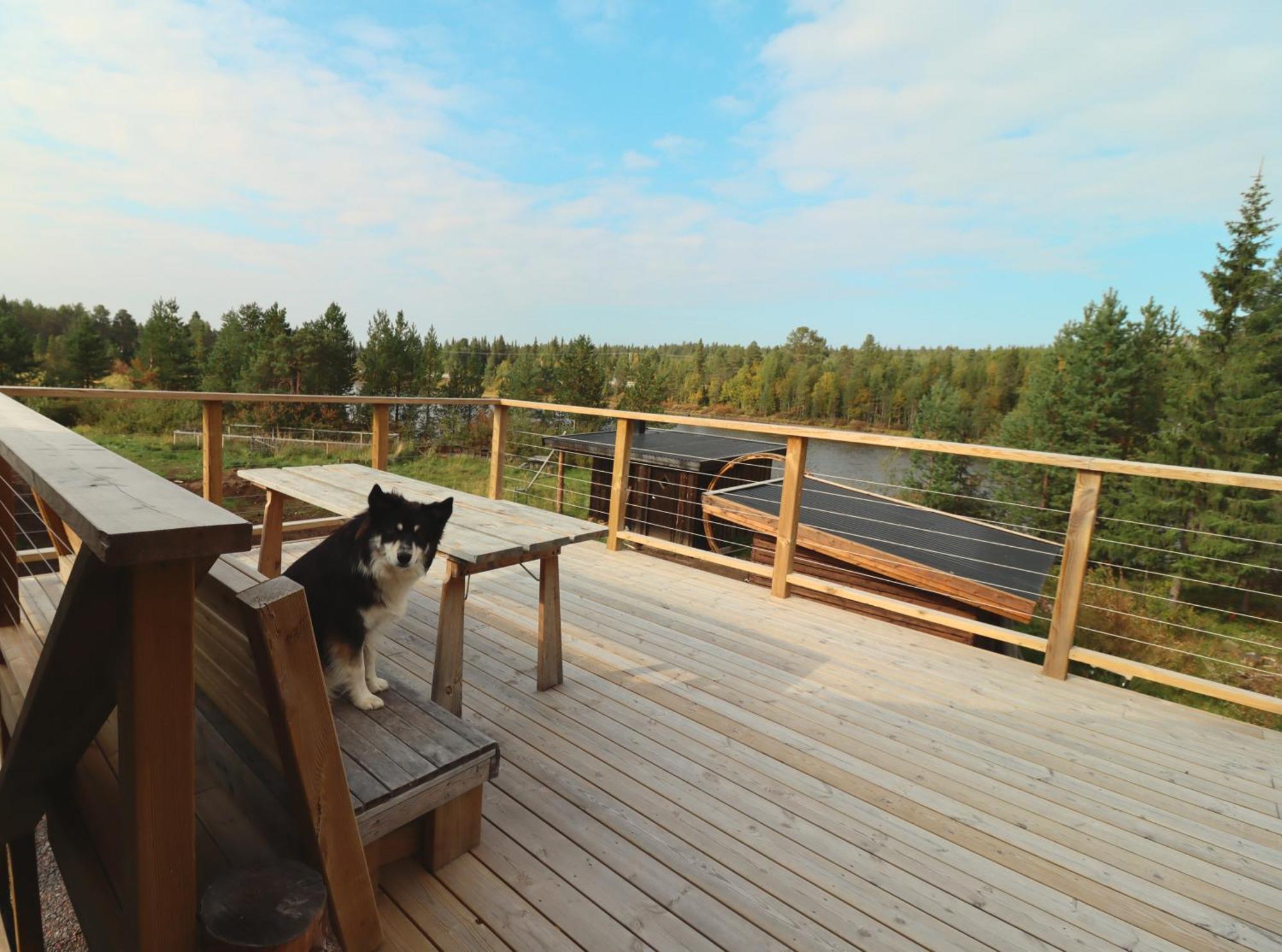 Cozy Cabin Styled Loft Kiruna Eksteriør bilde